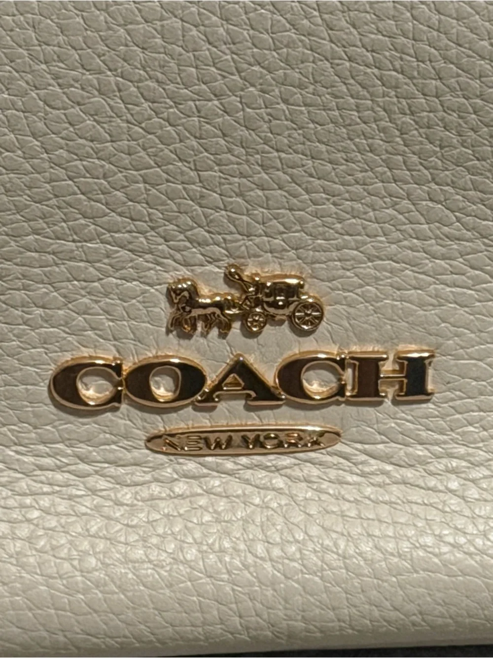 Coach Pebbled Leather Hobo Bag in Chalk